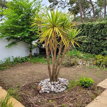 La Capeline Casa de Férias *