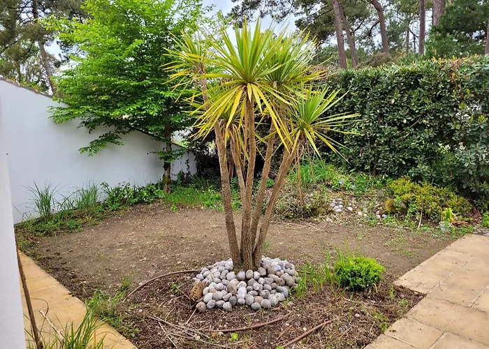 La Capeline Tatil Evi *